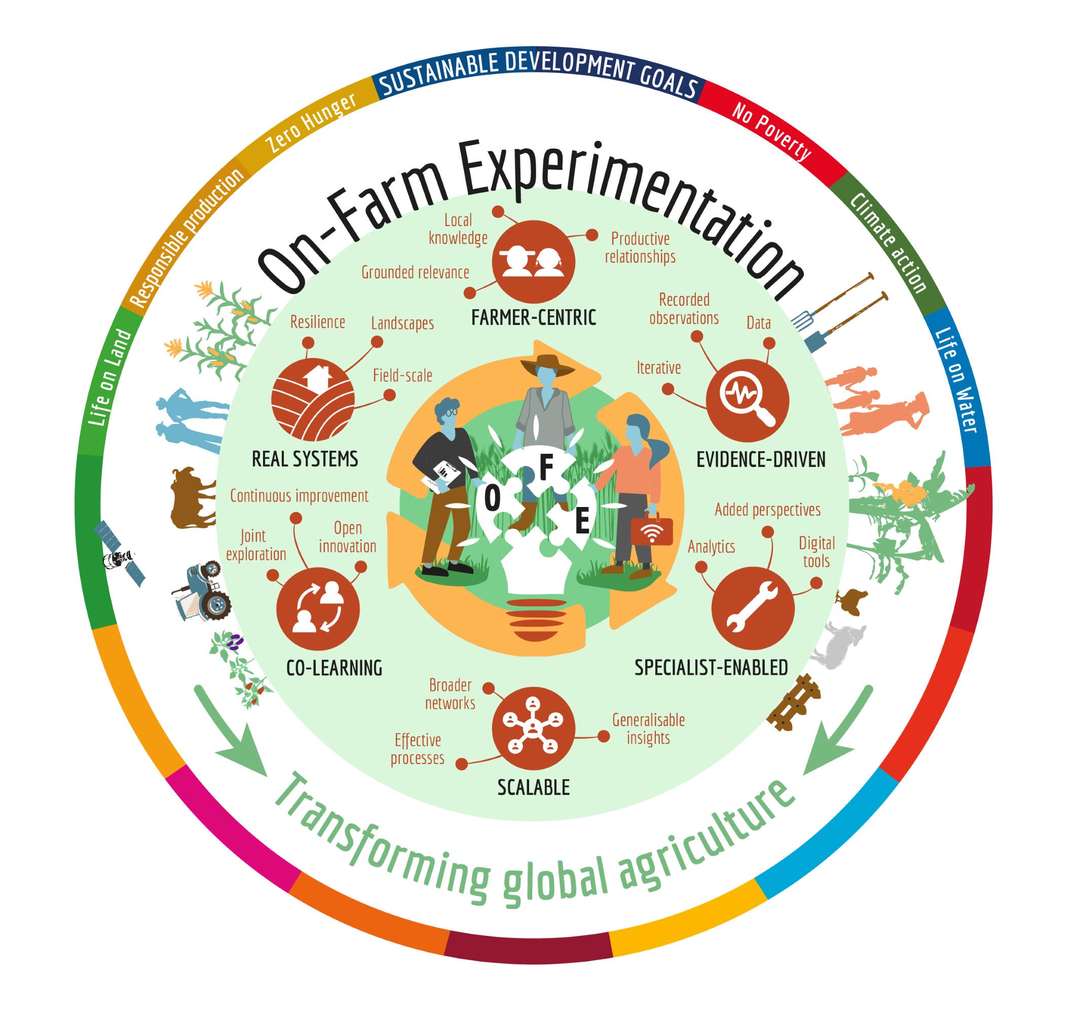 On-Farm Experimentation 6 principles - (c) Myrtille Lacoste 2022